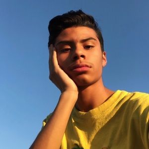 Meet your Posher, Gilbert